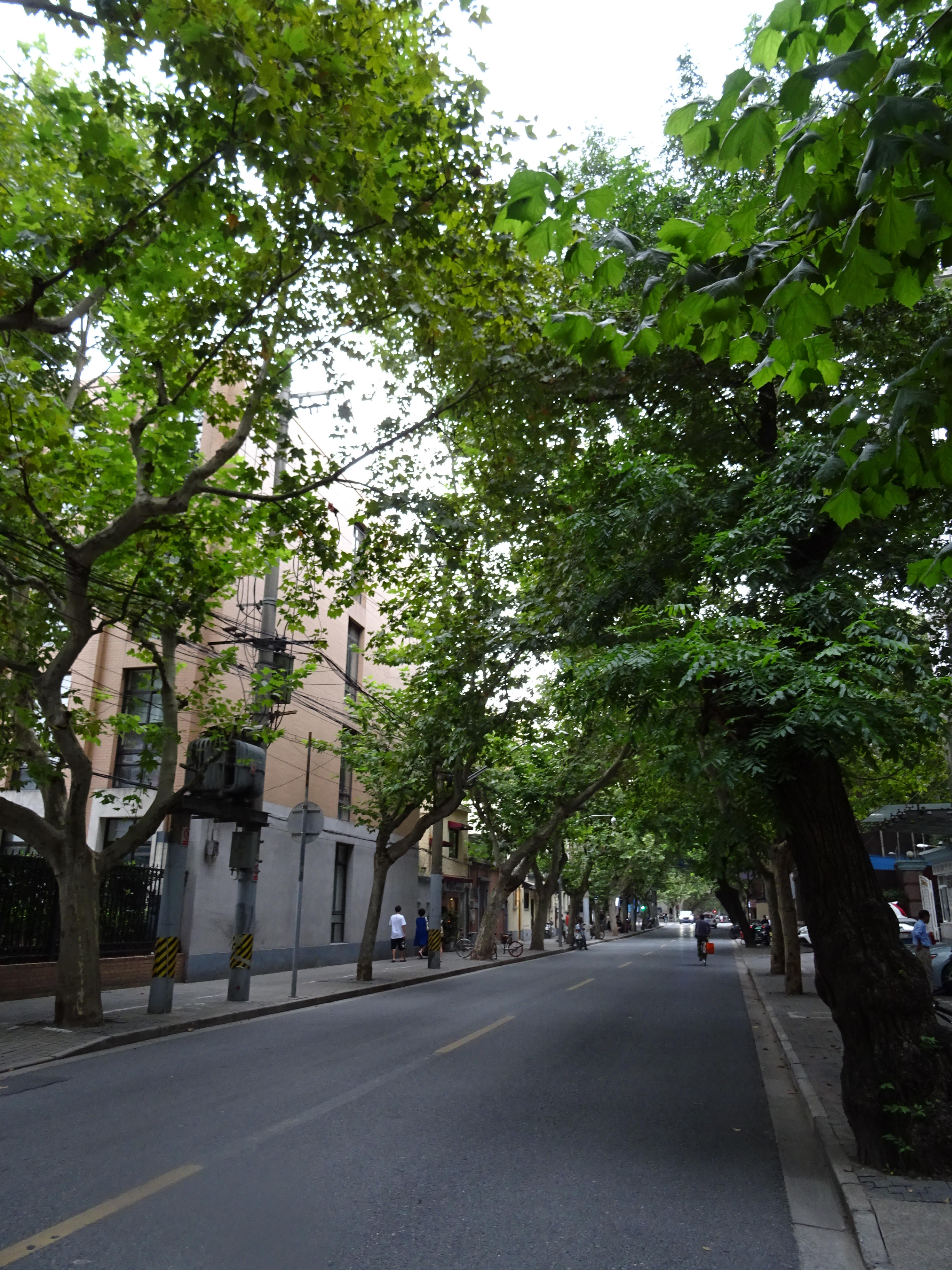 Fenyang Road